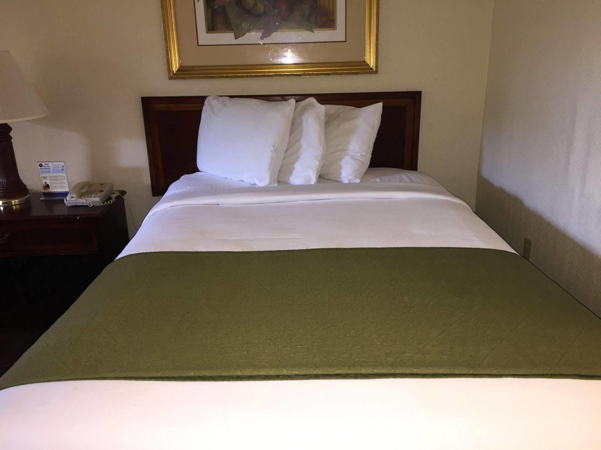Sawgrass Inn & Conference Center 普兰塔寻 外观 照片